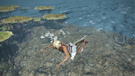 ���������꡼ No.049�Υ���ͥ������ / ��FFXIV����ϡ�Υ�٥졼�����ס�����������������Ȥʤ륢��ߥ���ɥޤο��������꡼�󥷥�åȤ����̤˸���