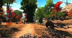 ꡼ No.004 | ߥɥޤβء FFXIVϡΥ٥졼פΥץ쥤ݡȤϤлäƤߤ