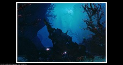 ꡼ No.073 | ߥɥޤβء FFXIVϡΥ٥졼פΥץ쥤ݡȤϤлäƤߤ