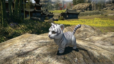 ꡼ No.015Υͥ / ֥եʥե󥿥XIV:ϡΥ٥졼Patch 4.2ɲä֥ƥĥץ쥤ǽפʥߥ˥ȱ