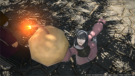 ꡼ No.004Υͥ / FFXIVϡΥ٥졼פPatch 4.25313˸ءо쥳ƥĤγפȥ꡼󥷥åȤ