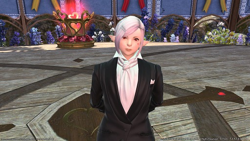 ���������꡼ No.002�Υ���ͥ������ / ��FFXIV�ס��������ʥ륤�٥�ȡ֥������ƥ�����ǡ��פ���������