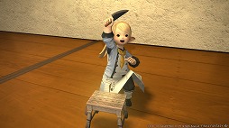 ���������꡼ No.004�Υ���ͥ������ / ��FFXIV�ס��������ʥ륤�٥�ȡ֥������ƥ�����ǡ��פ���������