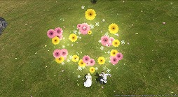 ꡼ No.006 | FFXIVסʥ륤٥ȡ֥ץ󥻥ǡפ