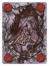 ꡼ No.007 | ʥɥ֥祳ܤΥꥹϥȡפγĥѥå֥󥸥󥹥פͽդ