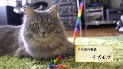 ꡼ No.002Υͥ / ֥饤󥹡饤֡סǥ꤬ʿ祦̩夷