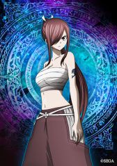 ꡼ No.004 | SOUL REVERSE ZEROפǥ˥FAIRY TAILפȤΥܤ