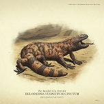 ���������꡼ No.014�Υ���ͥ������ / �֥�åɡ��ǥåɡ���ǥ�ץ����2�ס���¸�ˤϷ礫���ʤ��ּ��Ĥ����פʤɤξ��󤬸������о줹��ưʪ����200����