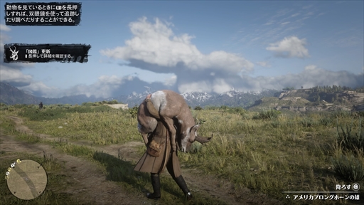 ꡼ No.030 | ֥åɡǥåɡǥץ2ץץ쥤ݡȡϤ̵ˡԤε꤬ʤʤäǡʸ˶뤫դäƻ̤