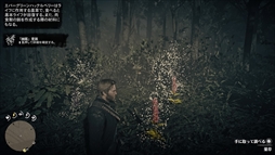 ꡼ No.039 | ֥åɡǥåɡǥץ2ץץ쥤ݡȡϤ̵ˡԤε꤬ʤʤäǡʸ˶뤫դäƻ̤