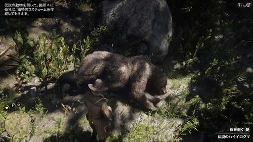 ꡼ No.049 | ֥åɡǥåɡǥץ2ץץ쥤ݡȡϤ̵ˡԤε꤬ʤʤäǡʸ˶뤫դäƻ̤