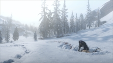 ���������꡼ No.009�Υ���ͥ������ / �֥�åɡ��ǥåɡ���ǥ�ץ����2�ס�������ǥ���VG247�ˤ�뵻�Ѽ���˥ե������㡼�������󥿥ӥ塼�����ܸ�����ʸ�����