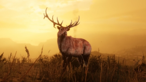 画像ギャラリー No.006のサムネイル画像 / 「レッド・デッド・オンライン」の大型アップデート実施。自然探求家になり,動物達の生態を研究しよう