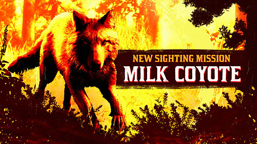 ���������꡼ No.001�Υ���ͥ������ / �֥�åɡ��ǥåɡ�����饤��ס��֥�å������������ն������Υߥ륯���衼�Ƥ��ܷ⤵���