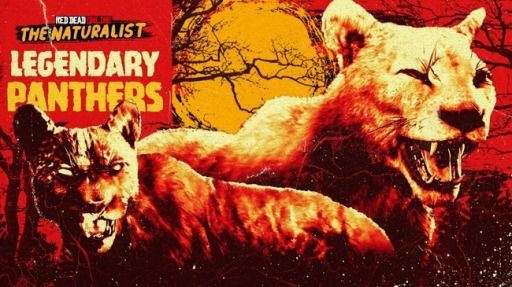 ꡼ No.005 | ֥åɡǥåɡ饤פ˥ϥѥо졣⡼ɡλƮפ