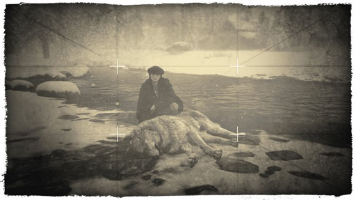 ꡼ No.002 | ֥åɡǥåɡ饤סõȤΥܡʥ󽷤󡣹ΩĻٱʪ