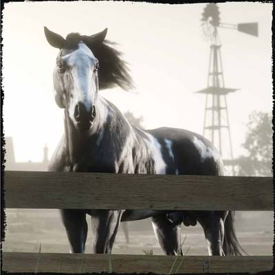 ���������꡼ No.020�Υ���ͥ������ / �֥�åɡ��ǥåɡ�����饤��ס��ϡ��ɥ�������ߥå����ְ����ɱҡפ�RDO�ޥ͡�������50%����