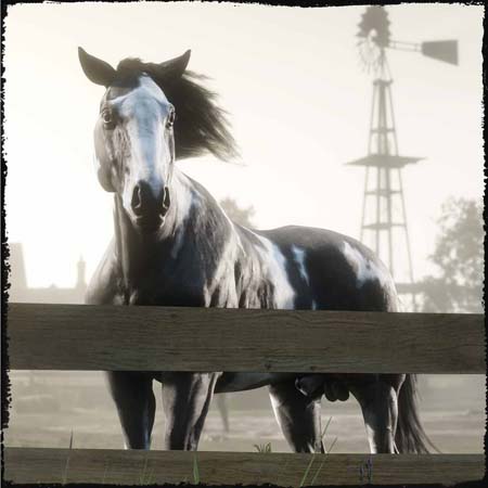 ꡼ No.020 |  ֥åɡǥåɡ饤פ˥ۥǡ衣ְɱҡפRDOޥ͡XP2