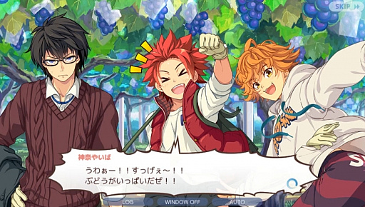 ꡼ No.010Υͥ / ֥ʥȥ饤סϿ5ͤ