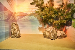 ���������꡼ No.026�Υ���ͥ������ / ���ޤ��ޤʼ����Ť餷��Ÿ���ϰ����� ��A3!�׽�Υե��������٥�ȡ�A3! BLOOMING CARNIVAL�ץե��ȥ�ݡ���