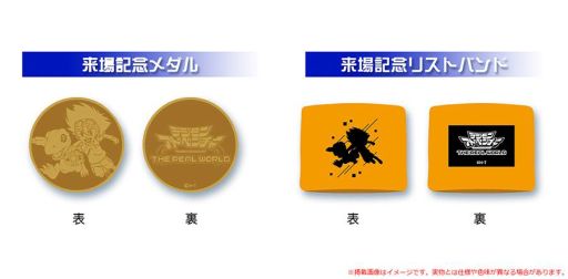 ꡼ No.007 | ߥ塼֥ǥ󥢥ɥ٥㡼 THE REAL WORLDסŸƤξܺ٤