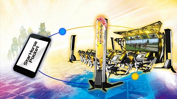 ꡼ No.008 | StarHorsePocketפλϿԿ10ͤˡɲõǰڡ򳫺