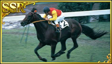 ꡼ No.002 | ϰץStarHorsePocketפۿȡSSR֥ޥ를󥹥פʤŵ䡤2Υ٥Ⱦå