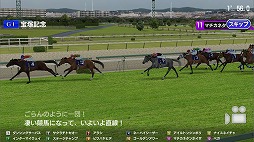 ꡼ No.003 | ϰStarHorsePocketץץ쥤ݡȡॻ󥿡16ǯʾͷФƤStarHorseפޥۥץǴƸ