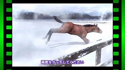 ꡼ No.012 | ϰStarHorsePocketץץ쥤ݡȡॻ󥿡16ǯʾͷФƤStarHorseפޥۥץǴƸ