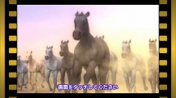 ꡼ No.014 | ϰStarHorsePocketץץ쥤ݡȡॻ󥿡16ǯʾͷФƤStarHorseפޥۥץǴƸ