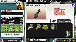 ꡼ No.018 | ϰStarHorsePocketץץ쥤ݡȡॻ󥿡16ǯʾͷФƤStarHorseפޥۥץǴƸ