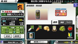 ꡼ No.019 | ϰStarHorsePocketץץ쥤ݡȡॻ󥿡16ǯʾͷФƤStarHorseפޥۥץǴƸ