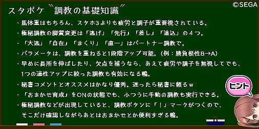 ꡼ No.045 | ϰStarHorsePocketץץ쥤ݡȡॻ󥿡16ǯʾͷФƤStarHorseפޥۥץǴƸ