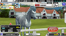 ꡼ No.003 | StarHorsePocketס1990ǯο͵̡ΥեɡפȤΥܳ