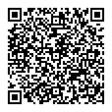 クッキーラン 新クッキー ロールケーキ味クッキー とペットの ライト兄弟 が登場