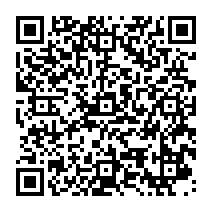 クッキーラン 新クッキー ロールケーキ味クッキー とペットの ライト兄弟 が登場