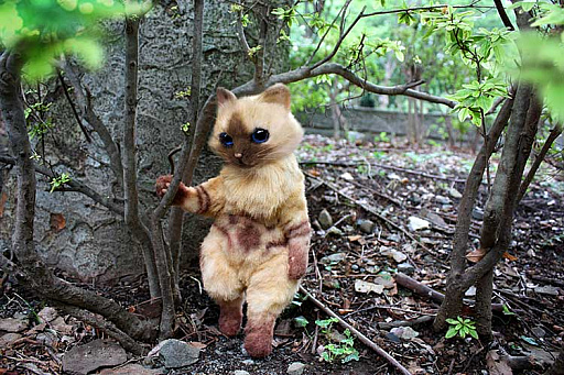 ���������꡼ No.001�Υ���ͥ������ / �֥��ϥ�פΥ����롼���ץ�ߥ���ɡ���ˤʤä��о졣ͽ������դ�������