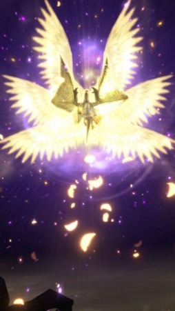 ꡼ No.012 | MHԥå2 ȥץ륽ס05Ƹץ㥬ޥ餬缡Ư