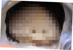 画像ギャラリー No.005のサムネイル画像 / 恋多き寄生虫の恋愛ゲーム「【閲覧注意】ウオノエちゃん 〜恋する寄生虫〜」が配信開始