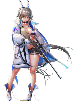 ꡼ No.007 | ֥ǥפ2ǯ5 ץꥺॽ륫륿