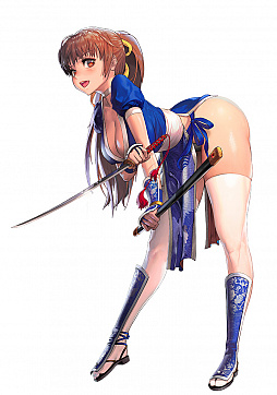 ꡼ No.008 | ֥ǥƥˡ㥤ɡפΡDOAXVVץ2Ƥ