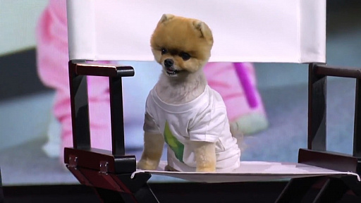 ꡼ No.041 | gamescomElectronic Artsgamescom 2017Ǹ륿ȥҲ𤹤륤٥Ȥ򳫺