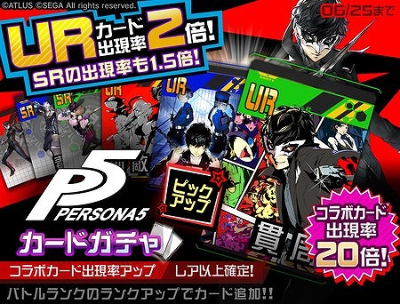 ꡼ No.007 | #ѥס֥ڥ륽5פȤΥܤ곫šܥҡȥ硼ɤ