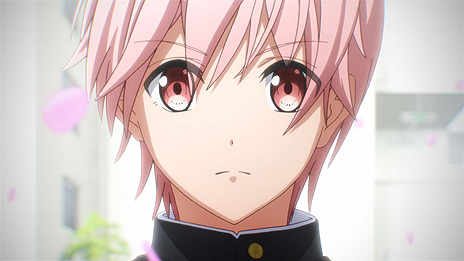 ꡼ No.009Υͥ / ǰADVַĹ פΥեǥַĹ ̵Υޥϥˡפȯ