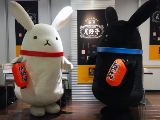 ꡼ No.022 | ֥ĥηǽץפθե֡޷١ޡפݡȡ2020ǯ11ޤǥơޤΰۤʤ륫եڤ