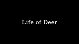 ꡼ No.001 | ӡġĤǤϤʤȤƼȴߥ졼󥲡Life Of DeerפҲ𤹤֡ʤۤܡޥۥ̿1274