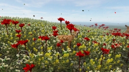 ꡼ No.002 | ӡġĤǤϤʤȤƼȴߥ졼󥲡Life Of DeerפҲ𤹤֡ʤۤܡޥۥ̿1274