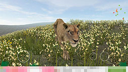 ꡼ No.003 | ӡġĤǤϤʤȤƼȴߥ졼󥲡Life Of DeerפҲ𤹤֡ʤۤܡޥۥ̿1274