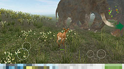 ꡼ No.007 | ӡġĤǤϤʤȤƼȴߥ졼󥲡Life Of DeerפҲ𤹤֡ʤۤܡޥۥ̿1274