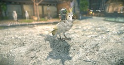 ���������꡼ No.002�Υ���ͥ������ / ��ELYON�פ����������ư���ʤ�������������ۥС��ܡ��ɤʤɾ��ʪ�Τۤ��ˡ���������Ǥ���ȥ����󥰥����ġɤ��о�